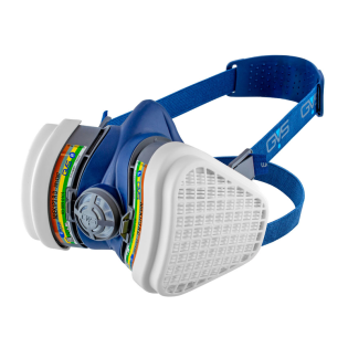 gvs ABEK1P3_Mask_result_result